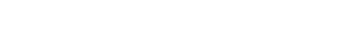 Bonfiglioli Group logo